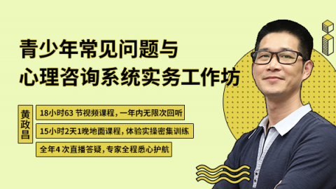 青少年常见问题与心理咨询系统实务工作坊