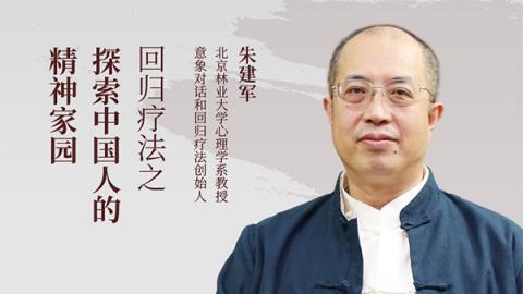 回归疗法之探索中国人的精神家园