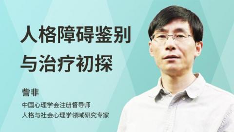 訾非：人格障碍鉴别与治疗初探