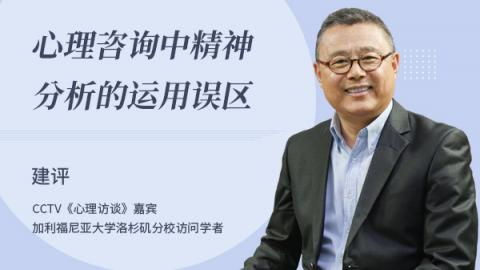 心理咨询中精神分析的运用误区